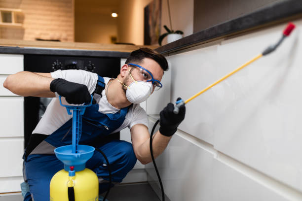 Flea Control Services in Plumas Lake, CA