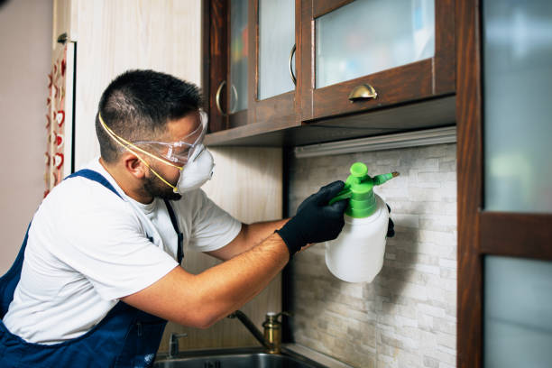 Best Best Pest Control Companies  in Plumas Lake, CA