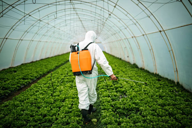 Pest Control Cost in Plumas Lake, CA