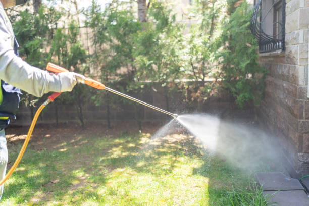 Best Affordable Pest Control Services  in Plumas Lake, CA