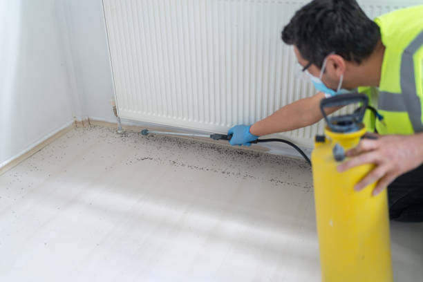 Best Pest Inspection Near Me  in Plumas Lake, CA